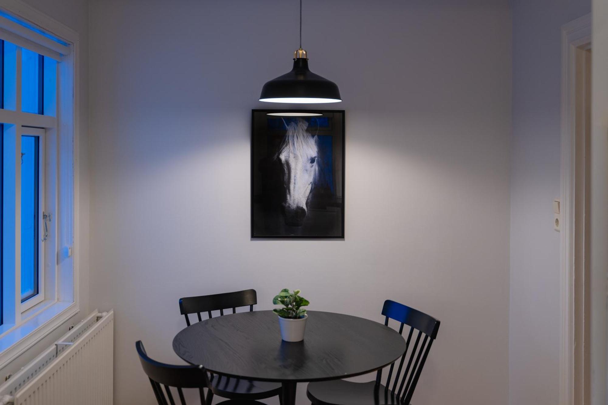 Day Dream Central Akureyri Three Bedroom Apt エクステリア 写真